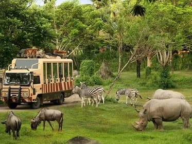Safari Park Admission Ticket Non Thai Residents